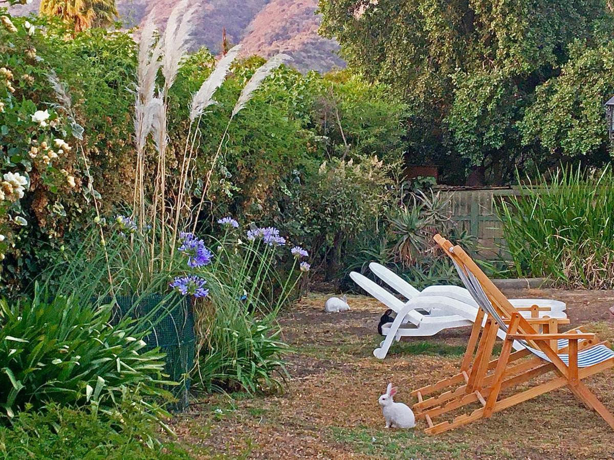 Novaqua Bed & Breakfast Olmué Exterior foto